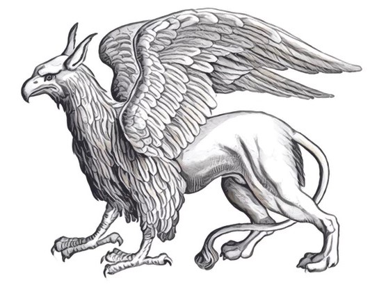 grey gryphon image